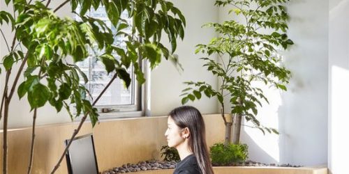 Jenis Layout Interior Kantor