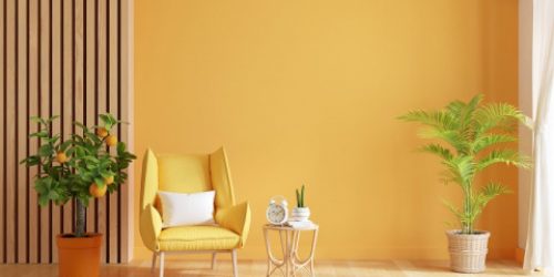10 Pilihan Warna Cat Dinding untuk Interior Rumah