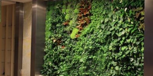 Mempercantik Rumah dengan Taman dalam Rumah
