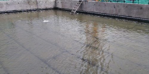 Mengungkap Fungsi Penting Tes Rendam Waterproofing pada Bangunan